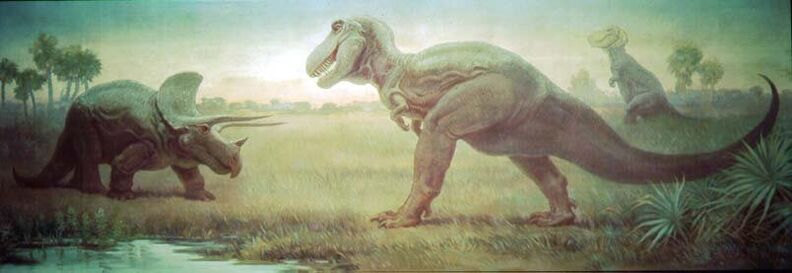 CK9T-rexvsttops01