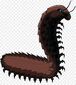 Arthropleura1