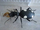 Beetle mania-wild kratts