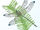 Littlefoot new series-dragonfly example 1