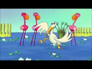 pelican and flamingos