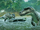 Albertosaurus-Jurassic world revival