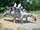 Dinosaur Land VA-Stegosaurus