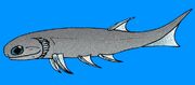 Mesacanthus pusillus