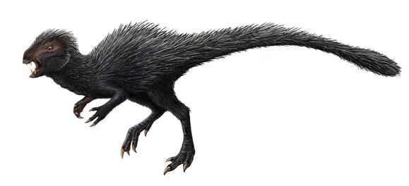 Heterodontosaurus restoration