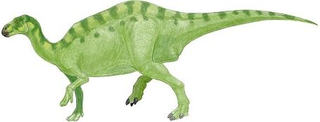 Bactrosaurus 9f0b