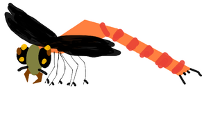 Damselflopter01