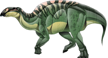 Brachylophosaurus-JWI