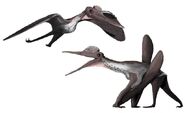 Pterodactylus