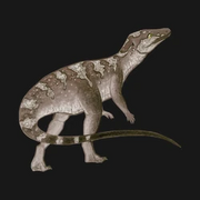 Sphenosuchus1