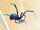 Black widow spider