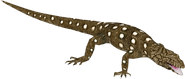 Lizard-granny