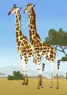 and the last one, Georgina is incredibly tall!
