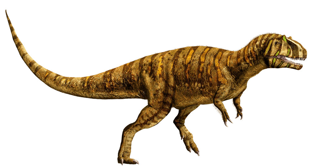 Metriacanthosaurus Jurassic World Revival Preview New Ideas By Matt Weaver Wiki Fandom 