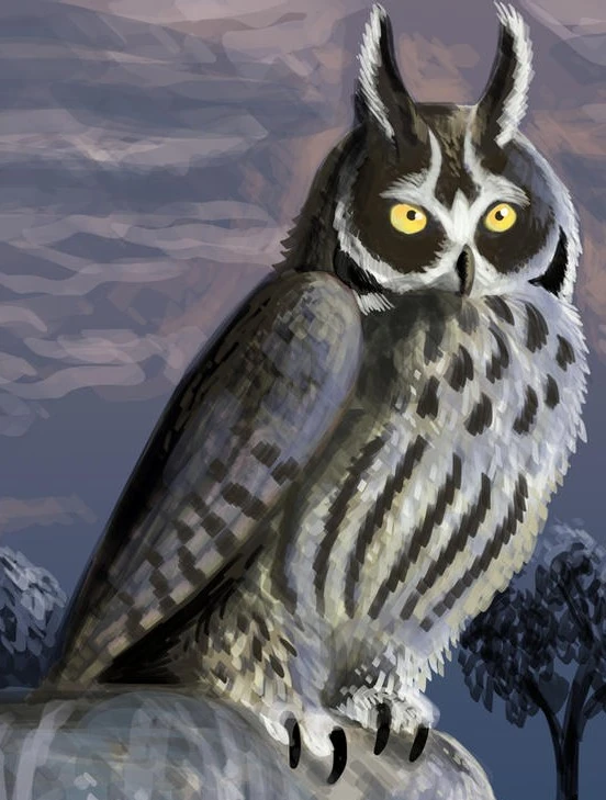 Ecuador owl odyssey-Jurassic Kratts | New ideas by Matt Weaver Wiki