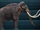 Columbian mammoth