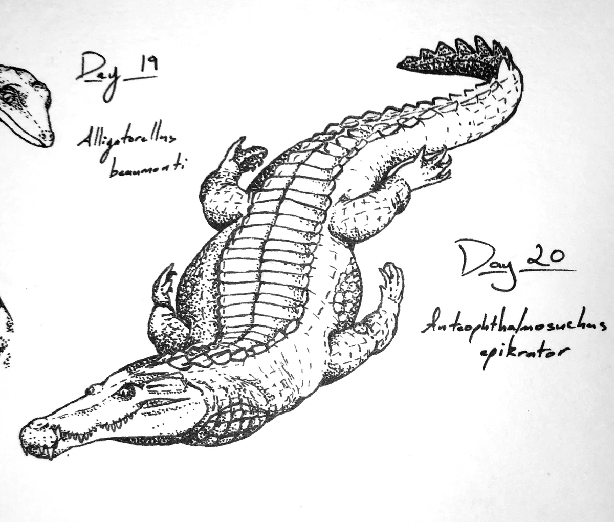 Anteophthalmosuchus New ideas by Matt Weaver Wiki Fandom