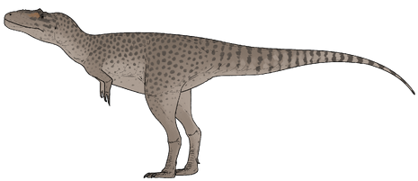 Asiatyrannus xui