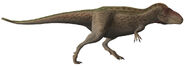 Momma Dino-Tarbosaurus