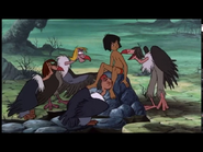 The Story of Buzzy the Vulture