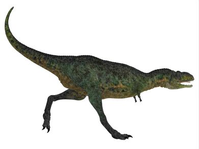 Aucasaurus000111