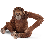 Orangutan-MTREEHOUSE1