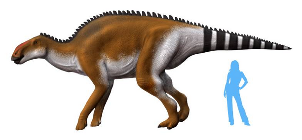 Brachylophosaurus NT alternate