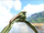Alliodracho-scar isle pterosaur