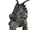 Achelousaurus