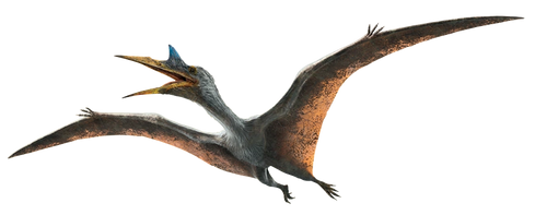 JWD Quetzalcoatlus render