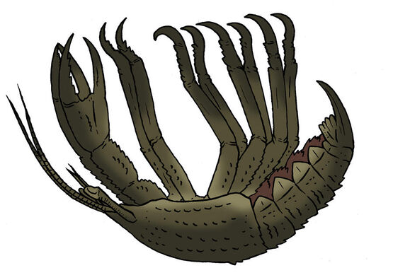 Skull island bestiary dire clutcher by boverisuchus dbd8f2j-fullview