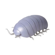 Woodbug1robot
