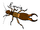LBT-insects idea 1