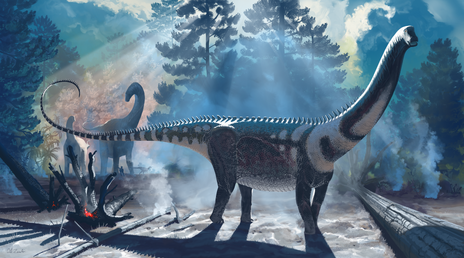 Ardetosaurus viator (life restoration)