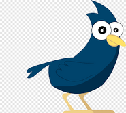 bowerbird