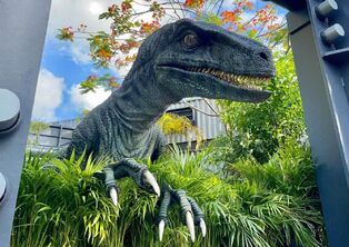 Raptor-Bravo-Jurassic-World-universal-3-copy