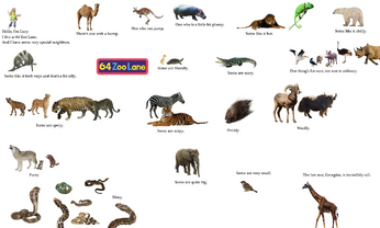 64 Zoo Lanefanpic