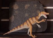 Brown velociraptor1cc