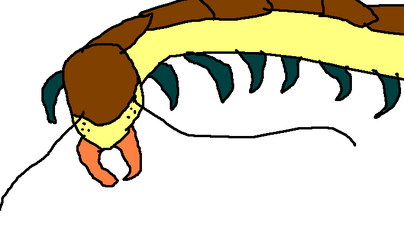 Colossal-centipede1lbtfan