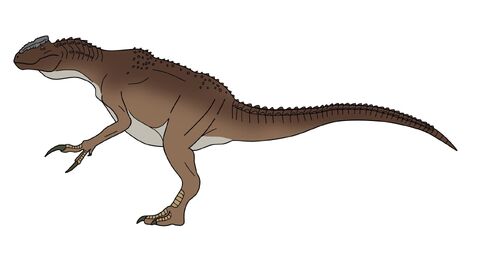Aciedactylus1new