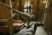 Ark-dinosonark10