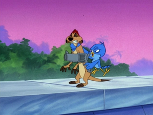 NBT Timon 26 Little Jimmy10