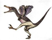 Unenlagia1