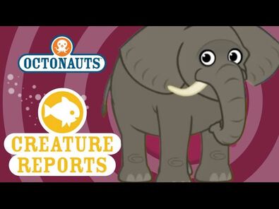 Elephant report1octonauts