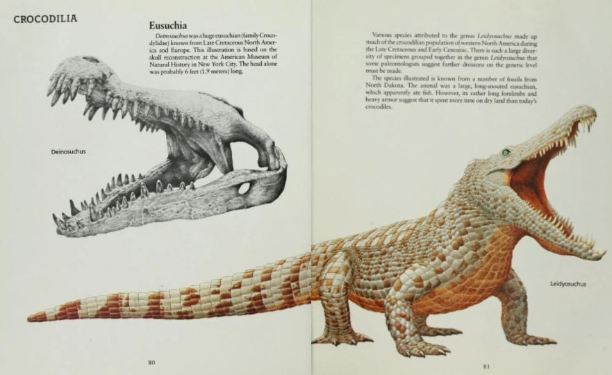 Picture of Leidyosuchus
