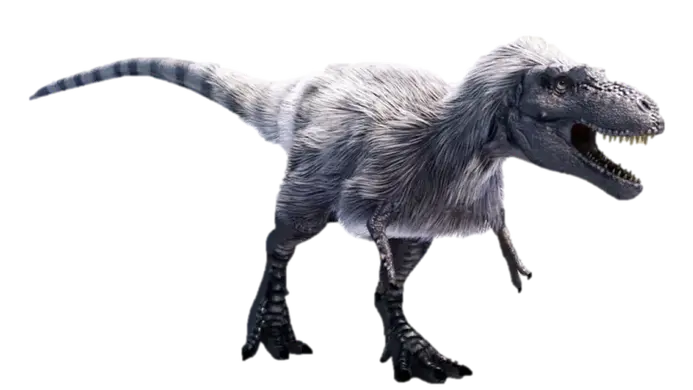 Whitish-Albertosaurus