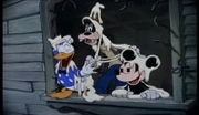 Thumb donald duck-ha ha ha ha ha ha