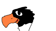 Gullivergull1