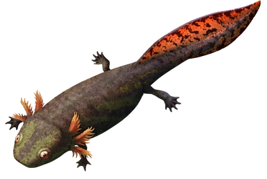 Hossein Rezaei | Historica Wiki | Fandom