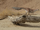 Alvarezsaur-the most extreme dinosaurs